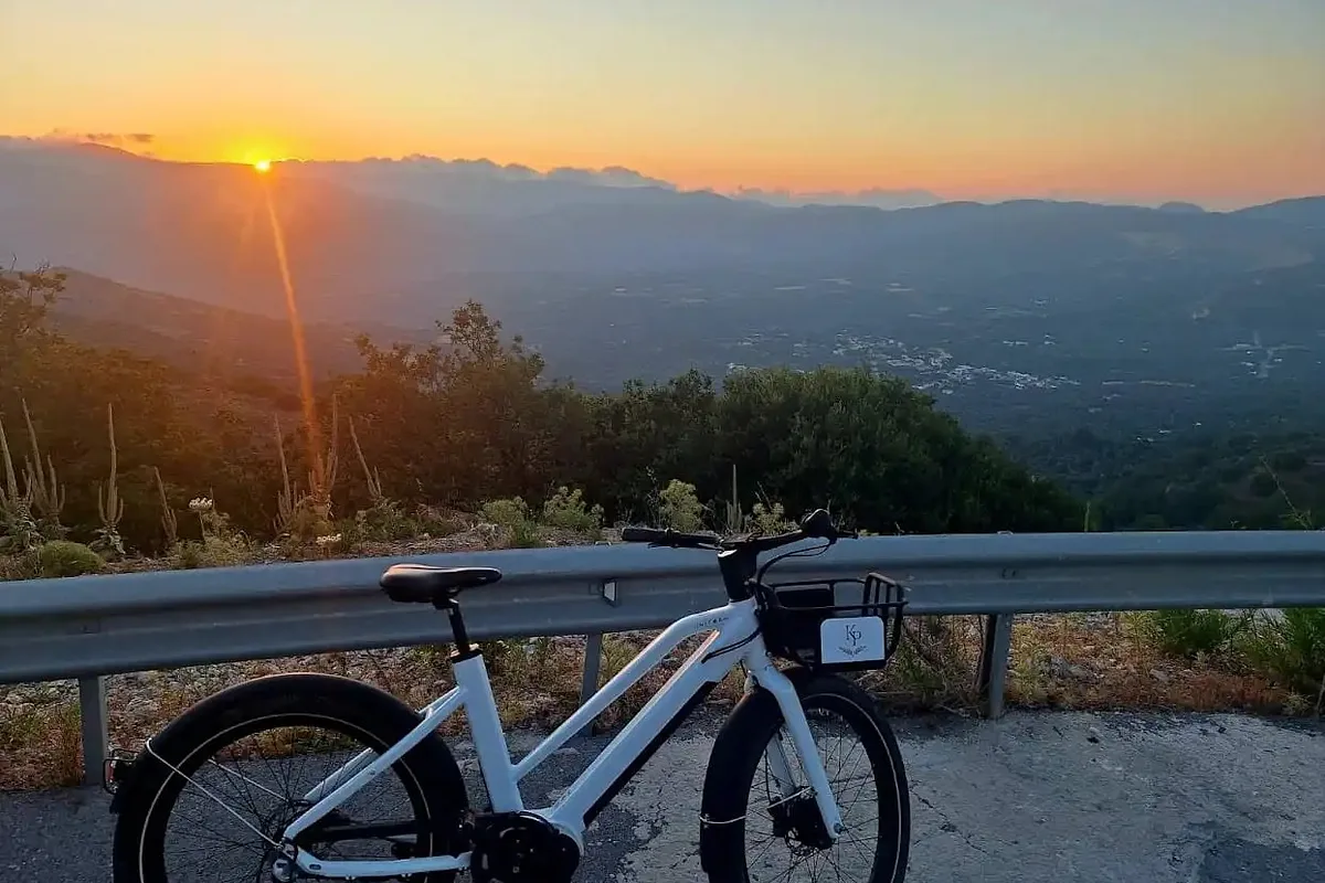 Bicycle Rental